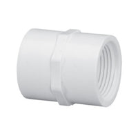 White Schedule 40 PVC 1/2-inch female threaded coupling (FIPT x FIPT), close-up showing internal threads and smooth molded body for plumbing and irrigation.